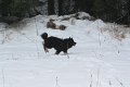 franzi-badberka (13)
